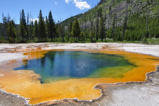 Photo by jbark44 yellowstone photo