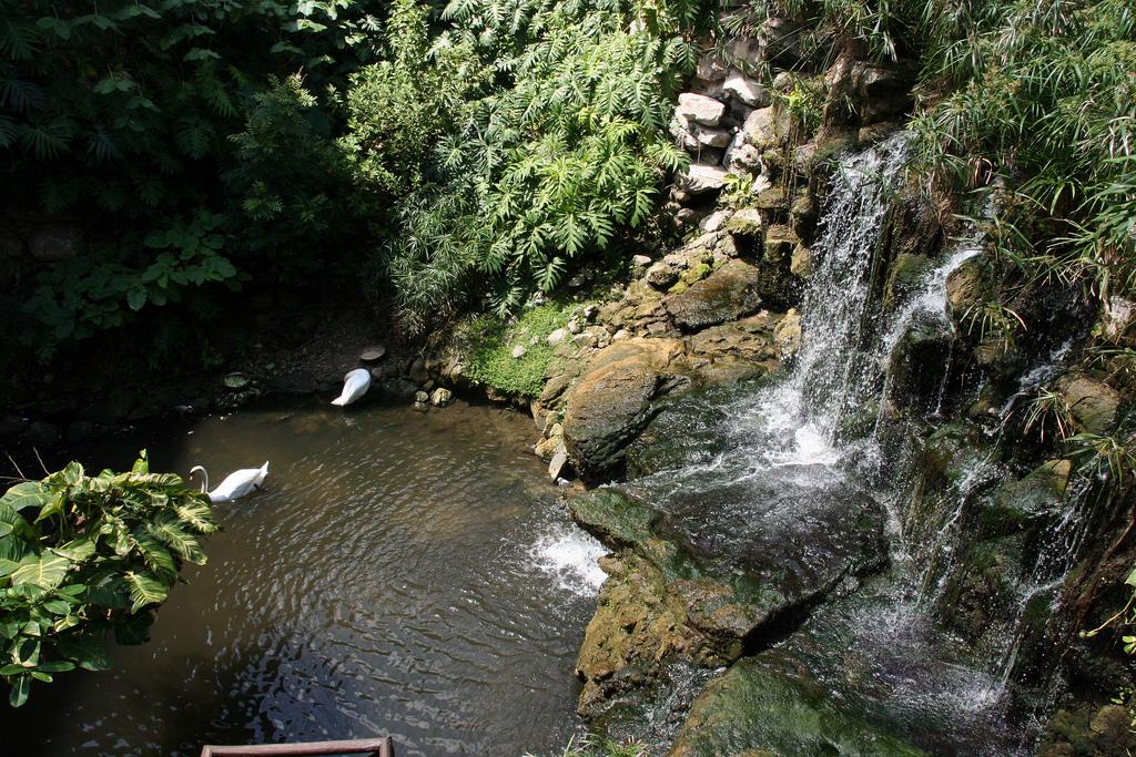 playa del carmen photo