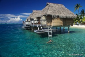 Moorea island